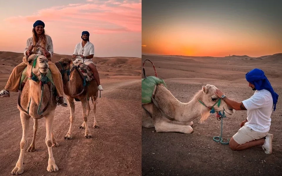 Agafay Camel Ride - Day Trips from Marrakech