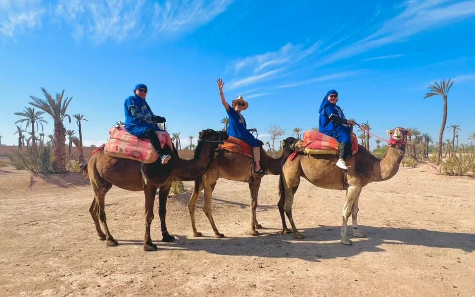 Camel Ride Palmeraie - Day Trips from Marrakech