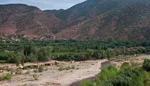 Berber village on a hillside above the dry Ourika riverbed, with orchards and the High Atlas Mountains behind