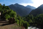 Weeping willows and stacked wooden crates along a roadside in the Ourika Valley, mountains silhouetted at sunset