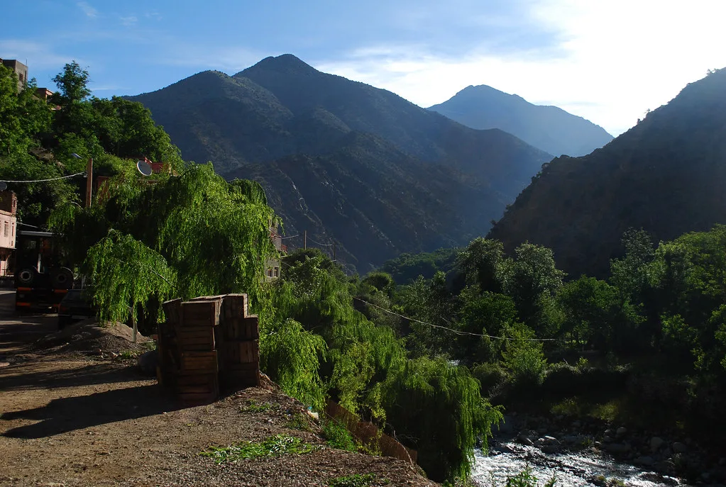 Weeping willows and stacked wooden crates along a roadside in the Ourika Valley, mountains silhouetted at sunset Weeping willows and stacked wooden crates along a roadside in the Ourika Valley, mountains silhouetted at sunset