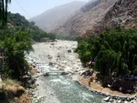 Berber village on the Ourika riverbed, with camels and donkeys crossing near riverside cafés