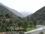 Ourika Valley village among poplar trees beside the riverbed, with hazy Atlas peaks in the distance