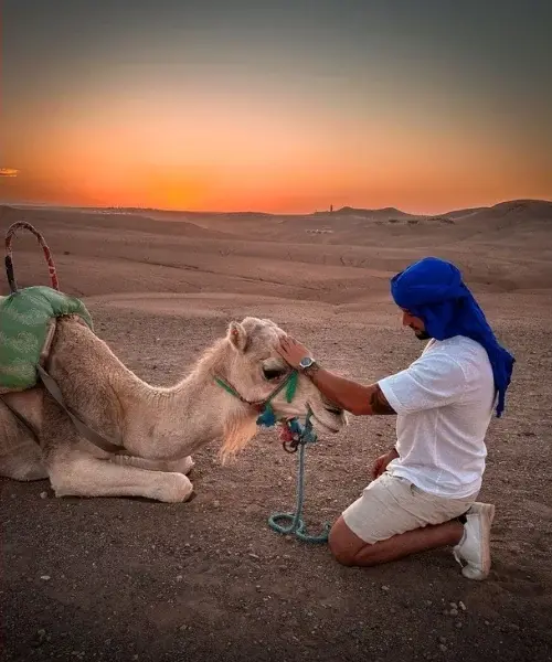 Orange sunset over the rolling hills of the Agafay Desert, with a resting camel and its handler in the foreground