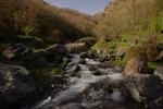 Rocky mountain stream running through a wooded gorge with autumn-toned trees near Imlil