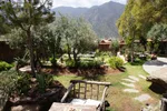 Landscaped guesthouse garden with olive trees, stone paths and seating areas, High Atlas peaks rising behind