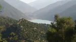 Ouirgane Lake seen through pine-covered slopes from a wooded viewpoint